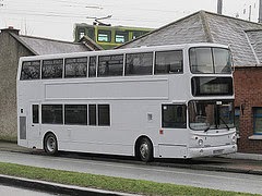 buswhite
