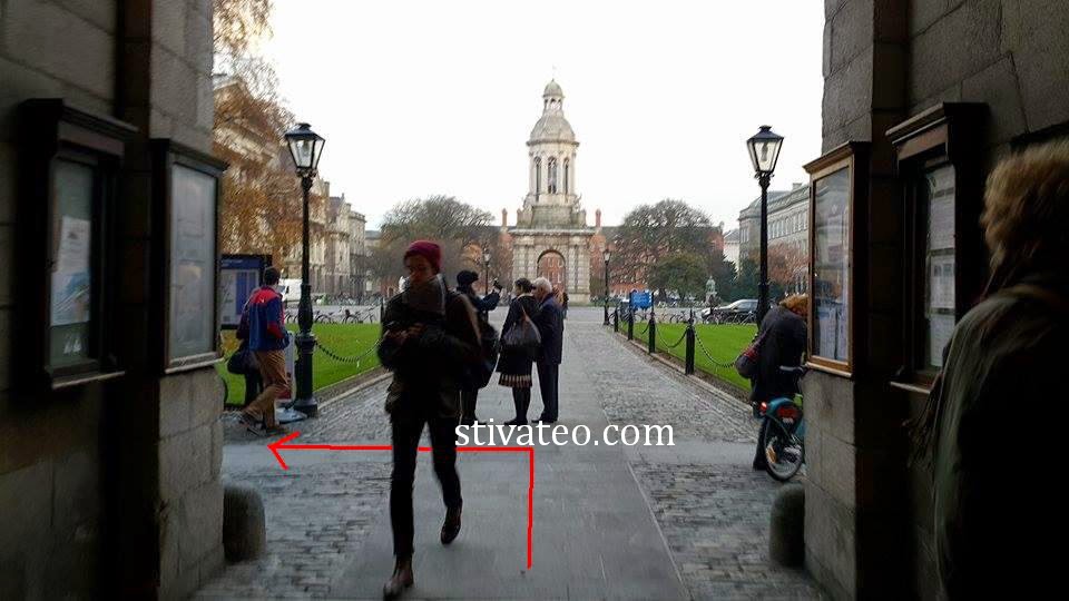 stiva teo, student leap card學生交通卡4