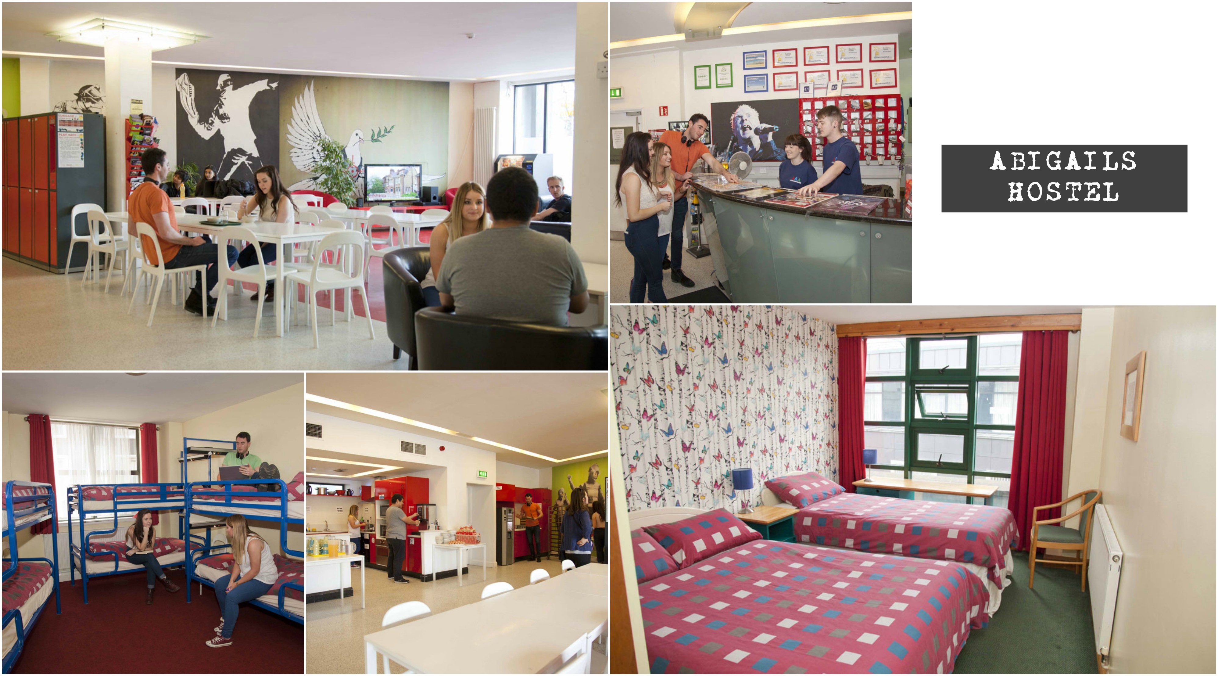 Abigails hostel, stiva teo,ireland