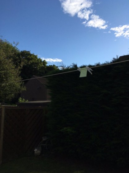 stiva teo, irish funny news 1