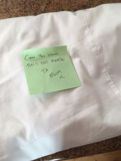 stiva teo, irish funny news