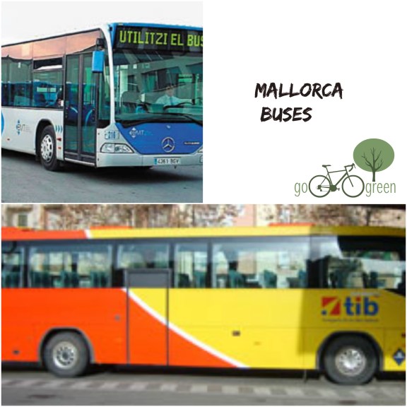 mallorca buses