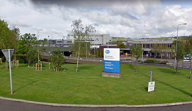 stiva teo, 偉哥，愛爾蘭，2 愛爾蘭趣事