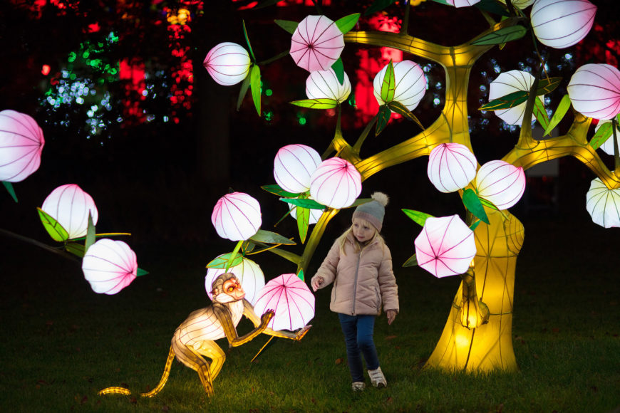 stiva teo, 動物園，都柏林，遊學5