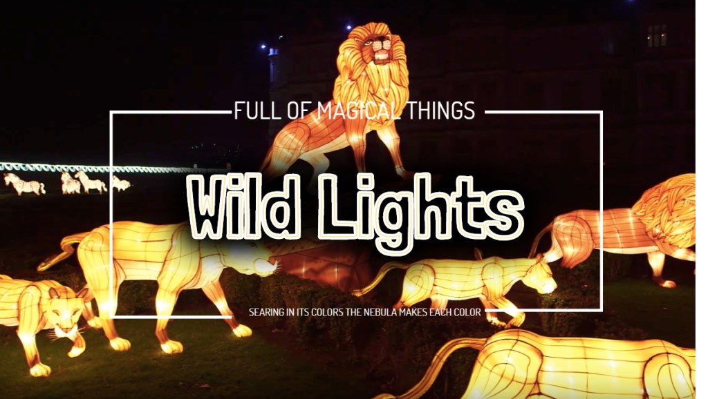 【都柏林旅遊】走，這個聖誕季節我們去動物園看會發光的動物