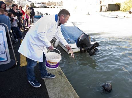stiva teo,愛爾蘭景點， sammy 海豹3